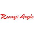 Reccagni Angelo (Италия) - купить в Сумах